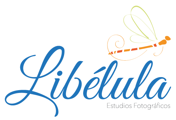 Libélula Estudio